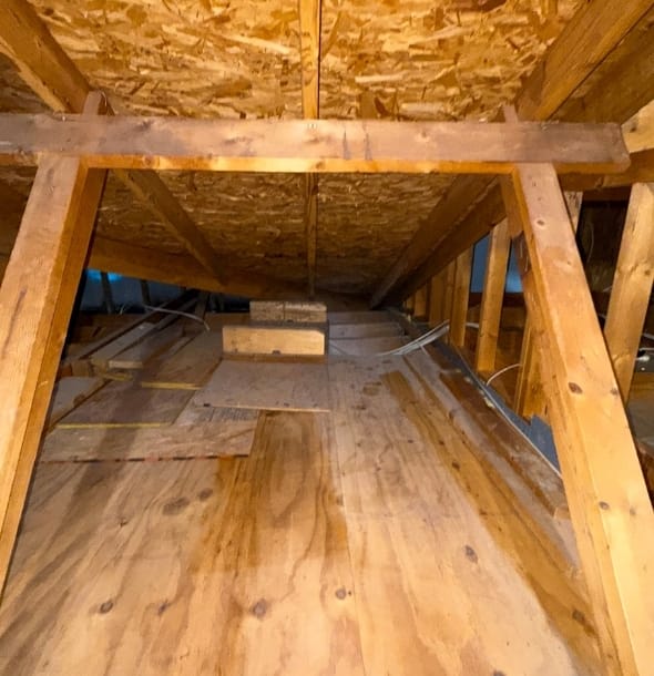 Removal and Replacement of Damaged Insulation